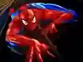 Jeu Puzzle Spider-Man en ligne