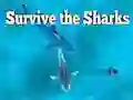 Jeu Survivre aux requins en ligne