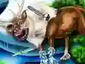 Jeu Sauvetage des Animaux des Filles en ligne Jeu Sauvetage des Animaux des Filles en ligne