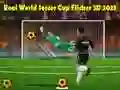 Jeu Coupe du Monde de Soccer Réelle Flicker 3D 2023 en ligne