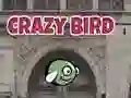 Jeu Oiseau Fou en ligne Jeu Oiseau Fou en ligne
