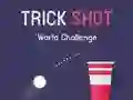 Jeu Défi Mondial de Tir Trick en ligne