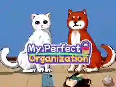 Jeu Mon organisation parfaite en ligne