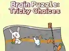 Jeu Puzzle de Cerveau : Choix Difficiles en ligne Jeu Puzzle de Cerveau : Choix Difficiles en ligne