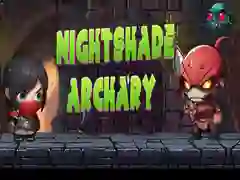 Jeu Tir à l'Ombre de la Nuit en ligne