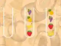 Jeu Maître de tri des fruits en ligne Jeu Maître de tri des fruits en ligne