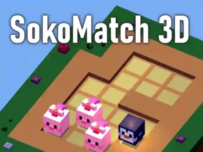 Jeu Sokomatch 3D en ligne