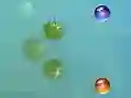 Jeu Mes aventures en ligne