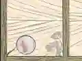 Jeu Bulle Quod en ligne