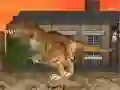 Jeu LA Rex en ligne Jeu LA Rex en ligne