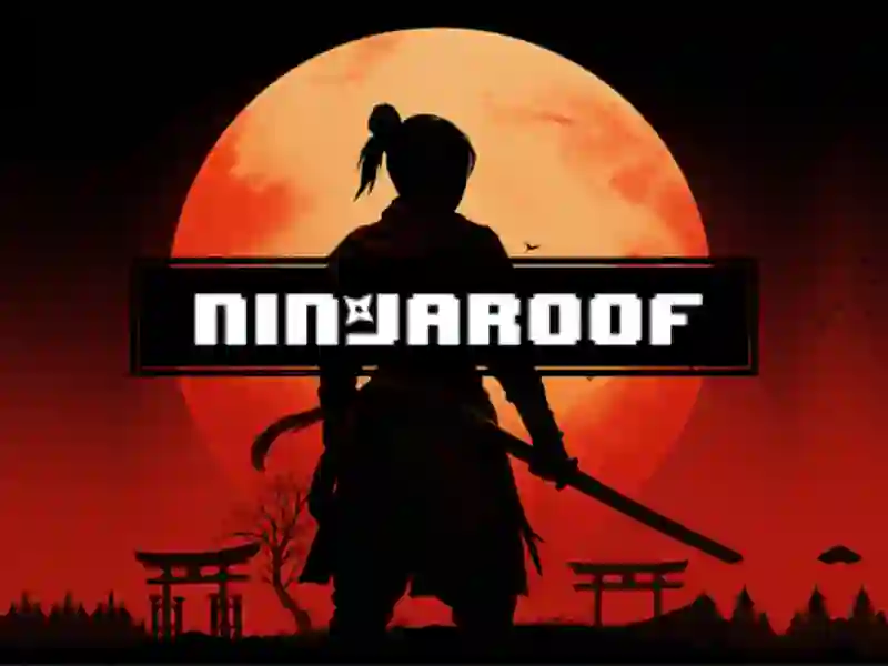 Jeu Toit Ninja en ligne