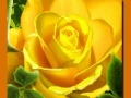 Jeu Roses Jaunes en ligne