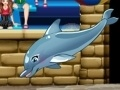 Jeu Mon spectacle de dauphins 6 en ligne