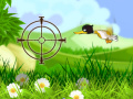 Jeu Tireur de Canard en ligne