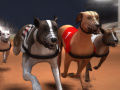 Jeu Courses de lévriers en ligne