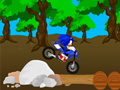 Jeu Course Sonic Croisée en ligne