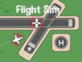 Jeu Simulateur de Vol en ligne