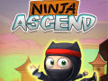 Jeu Ascension Ninja en ligne