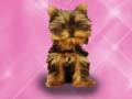 Jeu Laver les animaux de compagnie Princesse Enfants en ligne