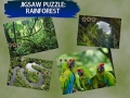 Jeu Puzzle Jigsaw Forêt Tropicale en ligne