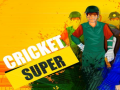 Jeu Super Cricket en ligne