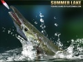 Jeu Lac d'été en ligne