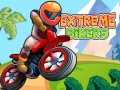 Jeu Motards Extrêmes en ligne
