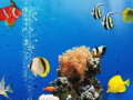 Jeu Différences sous-marines en mer en ligne