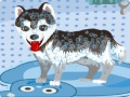 Jeu Mon chien mignon au bain en ligne