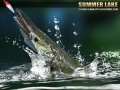 Jeu Lac d'Été 1.5 en ligne