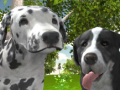 Jeu Simulateur de Chien 3D en ligne