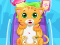 Jeu Petit Chat Médecin en ligne
