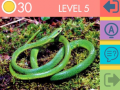 Jeu Quiz de 15 Images en ligne