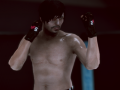 Jeu MFS : Combattant MMA en ligne