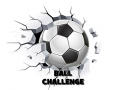 Jeu Défi de la balle en ligne