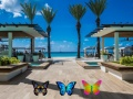 Jeu Trouvez 100 papillons en ligne