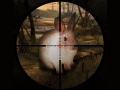 Jeu Chasse au sniper de lapins classique 2019 en ligne