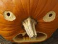 Jeu 5 en 1 Puzzle d'Images : Halloween en ligne