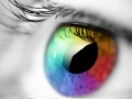 Jeu Couleurs et Designs en ligne