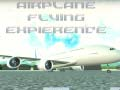 Jeu Expérience de vol en avion en ligne