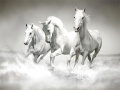 Jeu Puzzle de chevaux en ligne
