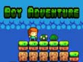 Jeu Aventure du garçon en ligne