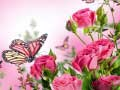 Jeu Puzzle de Papillons en ligne