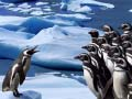 Jeu Glissade des Pingouins en ligne