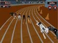 Jeu Folie de la Course de Chiens en ligne