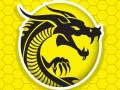 Jeu Fureur de Kung Fu en ligne