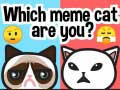Jeu Quel chat mème êtes-vous ? en ligne