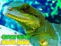 Jeu Puzzle du Dragon d'eau chinois en ligne
