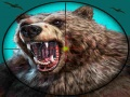 Jeu Chasse au ours sauvage en ligne