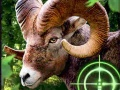 Jeu Chasseur de chèvres fou 2020 en ligne
